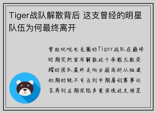 Tiger战队解散背后 这支曾经的明星队伍为何最终离开