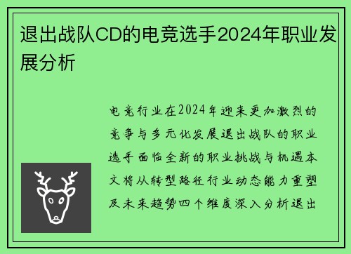 退出战队CD的电竞选手2024年职业发展分析